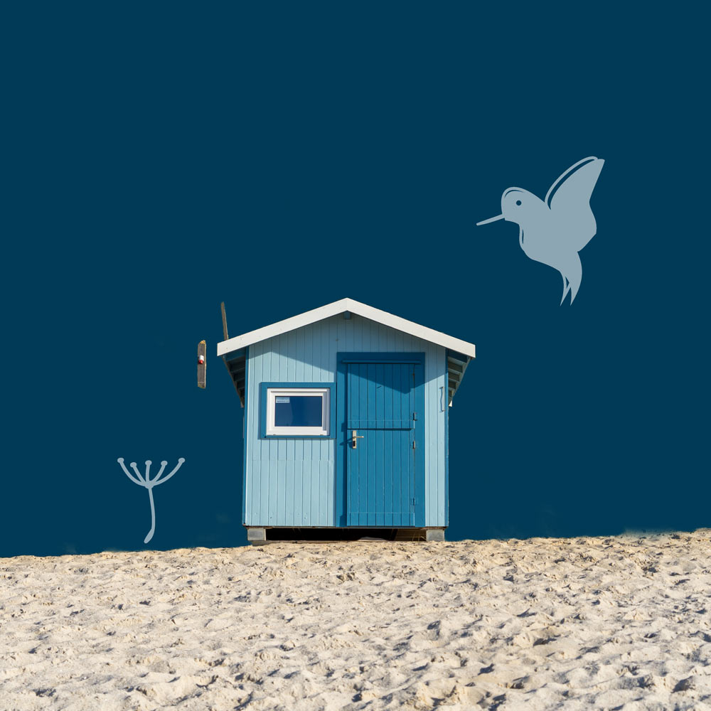 Miniature présentation Le petit Hulot